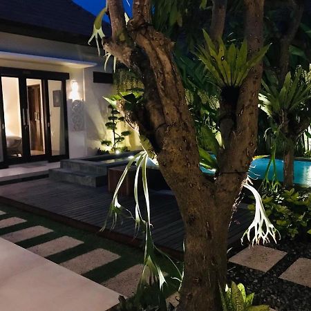 Villa Apanya Sanur 外观 照片